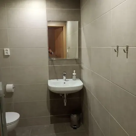 A Restaurace V Haji Gasthof Loučná pod Klínovcem